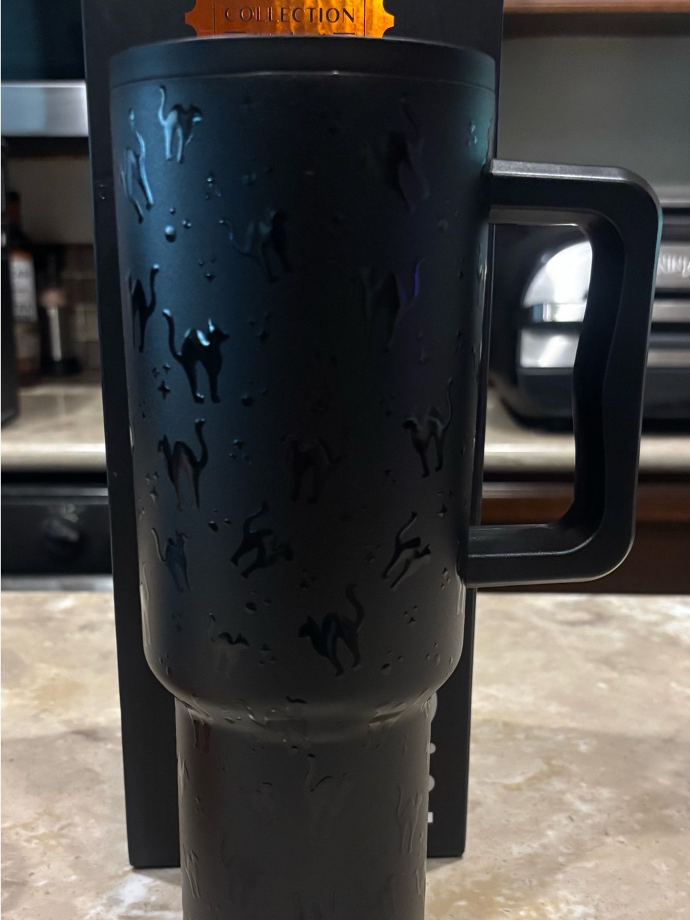 BNIB Simple Modern 2024 Harvest Collection Black Cats 40 oz Trek